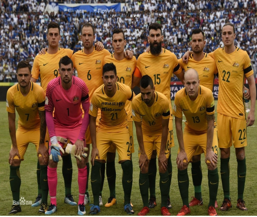 2018世界杯丹麦对澳大利亚的彩票为什么买不