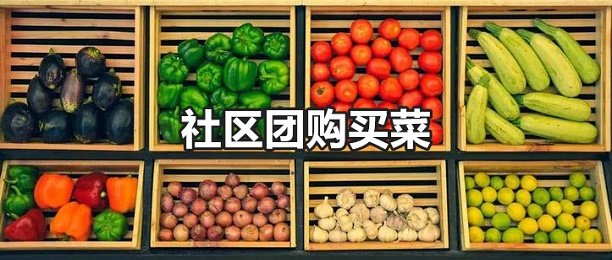 社区团购买菜app